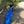 Person holding a blue surfboard on a concrete surface with trees in the background